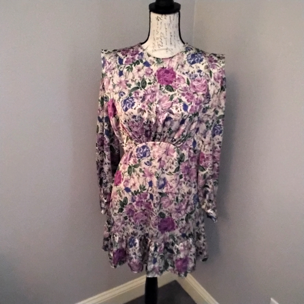 NWT Zara Floral Print Long Sleeve Dress